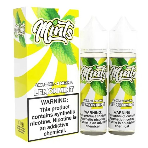 MINTS E-LIQUID 2X60ML